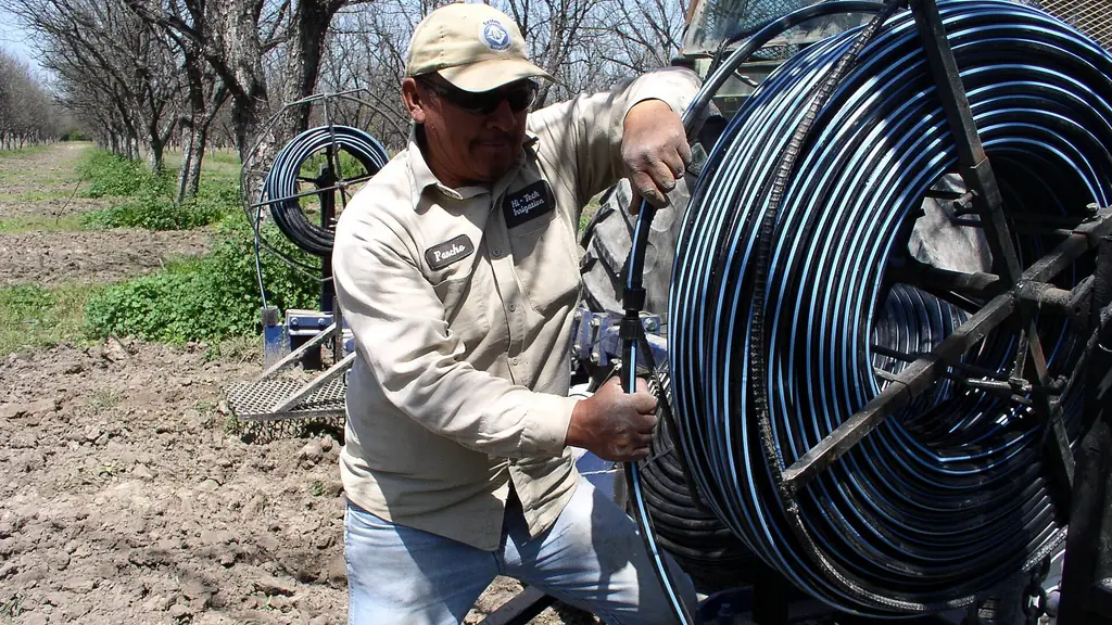 Grower loading drip irrigation rolls onto a truck before field installation
