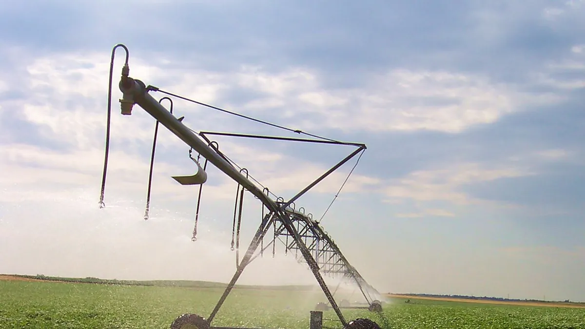 Traveling gun sprinkler watering a row crop field