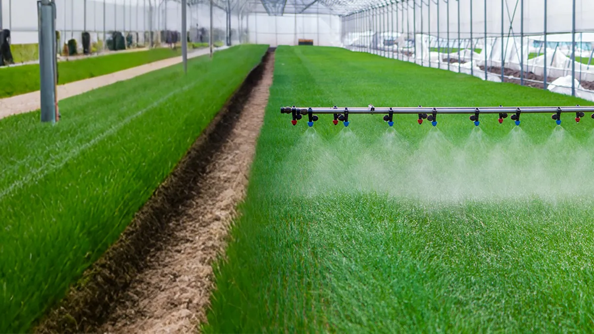 Greenhouse tunnels with an overhead irrigation tower
