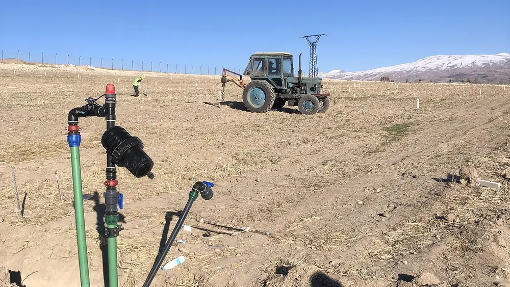 Staked micro sprinkler spraying over a tilled field