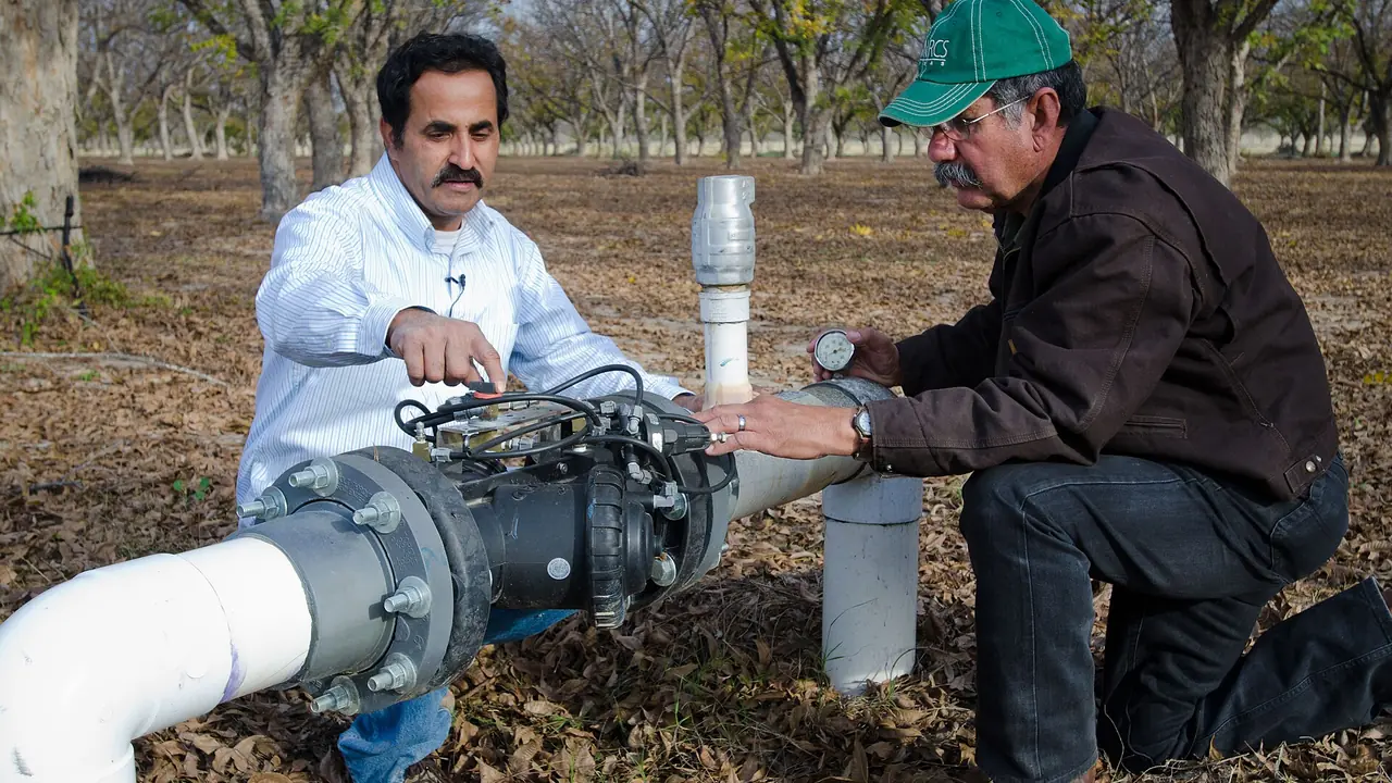 Two technicians checking valve manifolds along an orchard drip line
